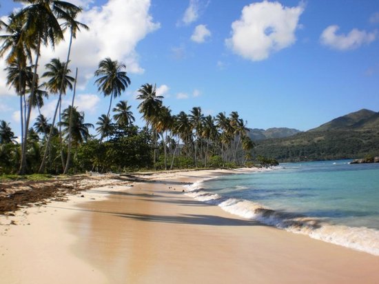 playa rincon republique dominicaine