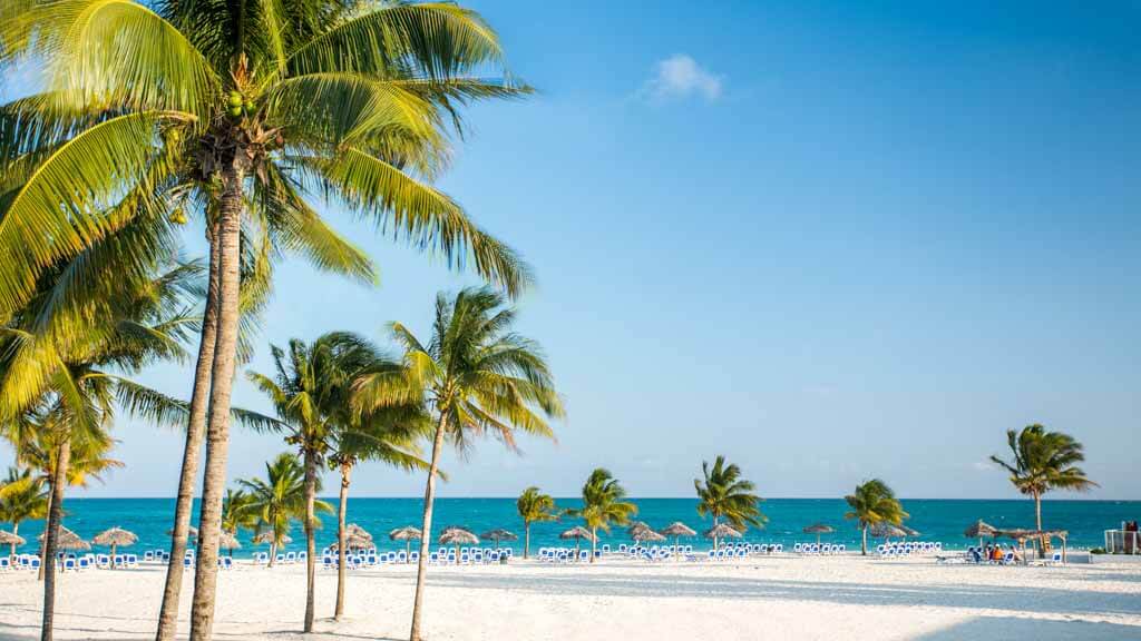 Fiches Hôtels Le Viva Wyndham Fortuna Beach Aux Bahamas Télécharger La Fiche Hôtel Du Viva Wyndham Fortuna Beach